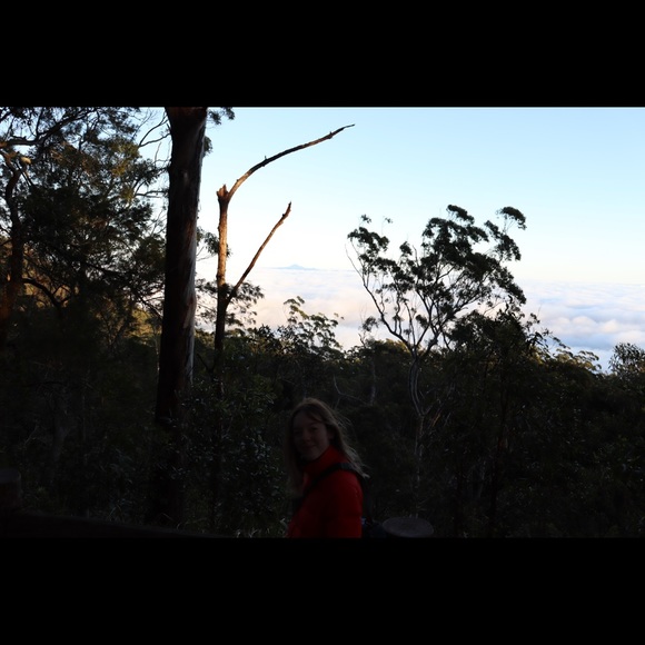 Meet your Posher, Ashlyn - Picture 1 of 1